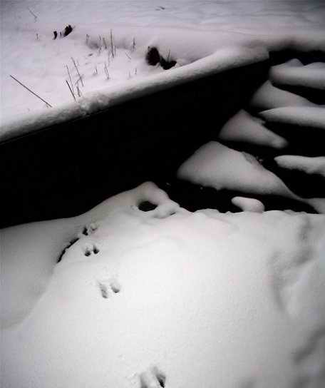 留学美国 实拍美国大雪后的景象(组图)