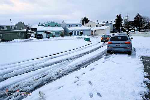 留学加拿大 温哥华2011年第一场雪(组图)