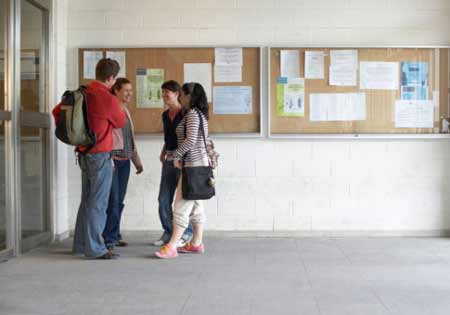 美国大学毕业生成功找到工作经验