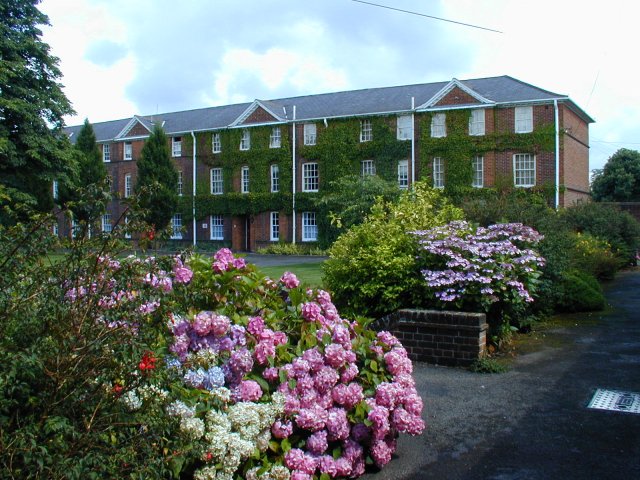 雷丁大学