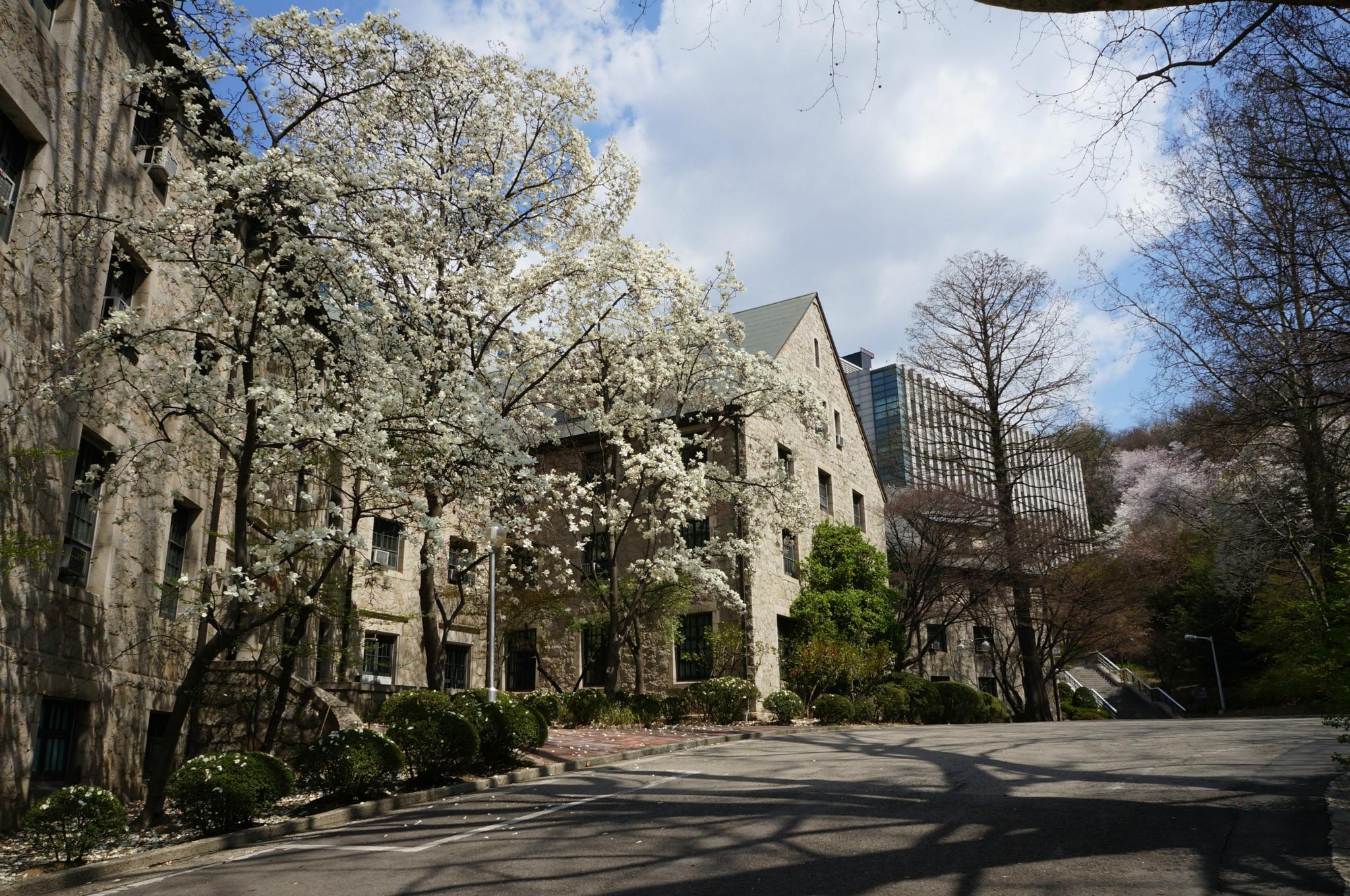 比名字更美的大学——韩国梨花女子大学