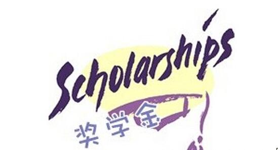荷兰奖学金设置安排