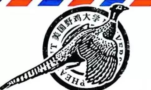 美国留学选校擦亮眼，如何辨识野鸡大学